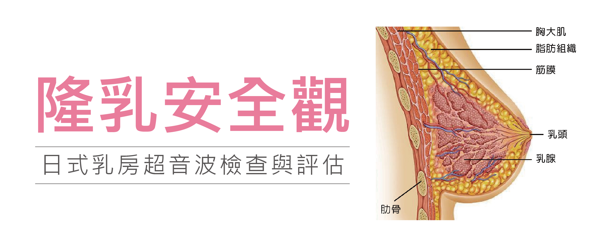 隆乳安全觀 日式乳房超音波檢查與評估-東京風采整形外科診所